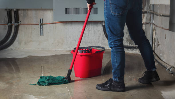 Best Carpet water damage restoration  in East Franklin, NJ
