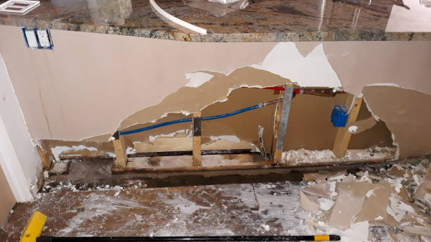 Best Water damage cleanup near me  in East Franklin, NJ