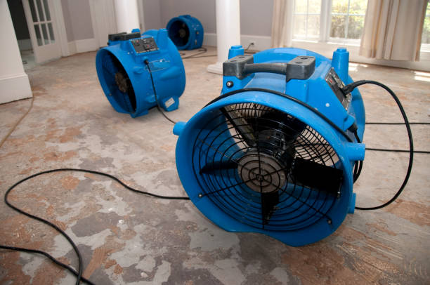 Best Professional water damage repair  in East Franklin, NJ