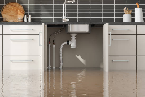 Best Flood damage cleanup  in East Franklin, NJ